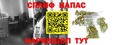 тгк Шелехов