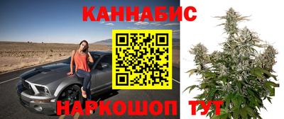 хмурый Шебекино