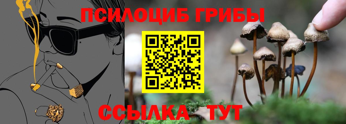 Тамбов  Псилоцибиновые грибы Psilocybe  Вход с VPN  Галлюциногенные грибы GOLDEN TEACHER 